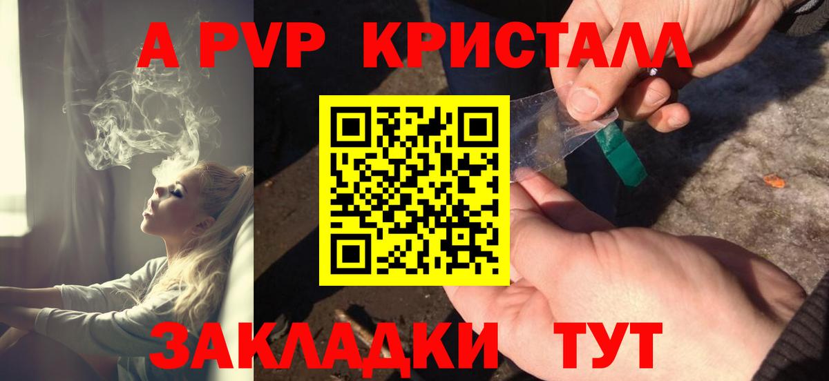 Alfa_PVP СК Дмитров