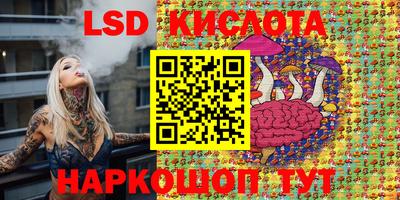 ешки Камышлов