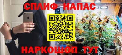 ешки Камышлов