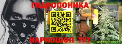 ПСИЛОЦИБИНОВЫЕ ГРИБЫ Канаш