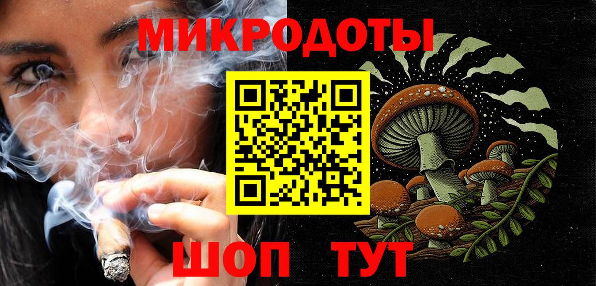 Псилоцибиновые грибы мицелий Дмитров