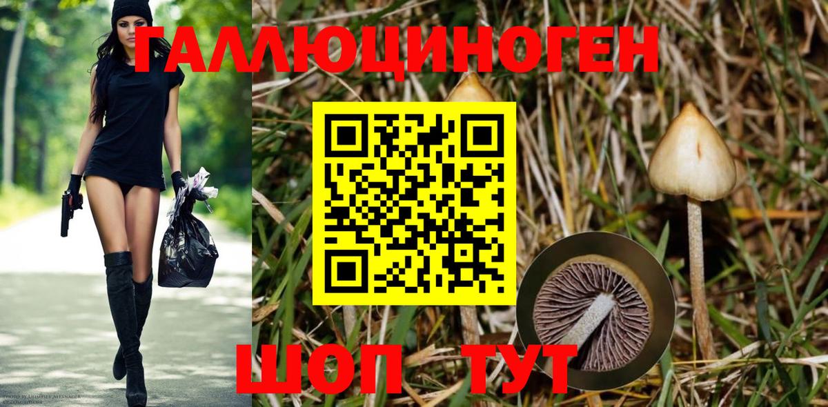 Галлюциногенные грибы ЛСД  Вход с VPN  Дмитров 